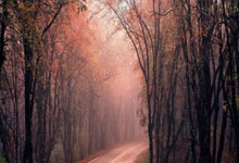 爱游戏APP-德国队绝杀中国队，辛杜惊艳四座