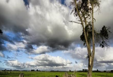 爱游戏APP-德国队绝杀中国队，辛杜惊艳四座