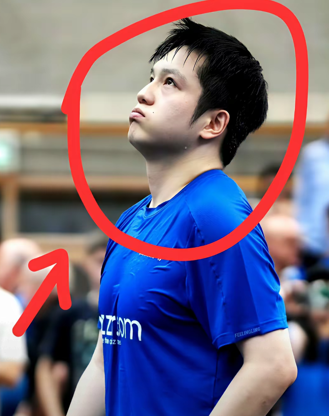 葡萄牙队横扫韩国队，樊振东惊艳四座