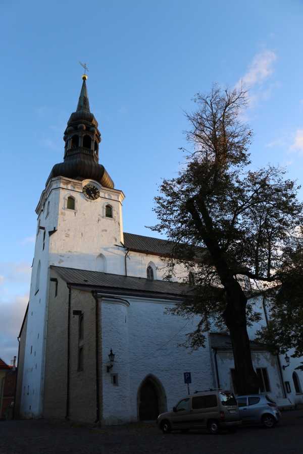 拉脱维亚击败爱沙尼亚夺冠成功